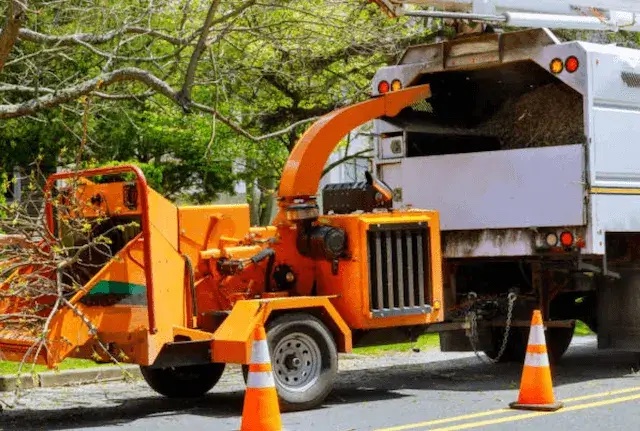 tree removal rockland ny