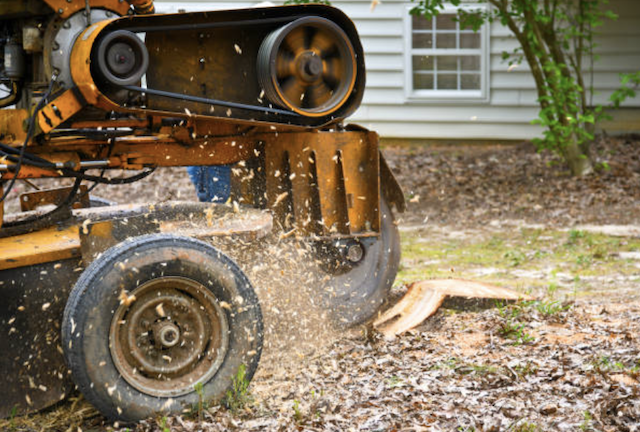 stump grinding rockland ny